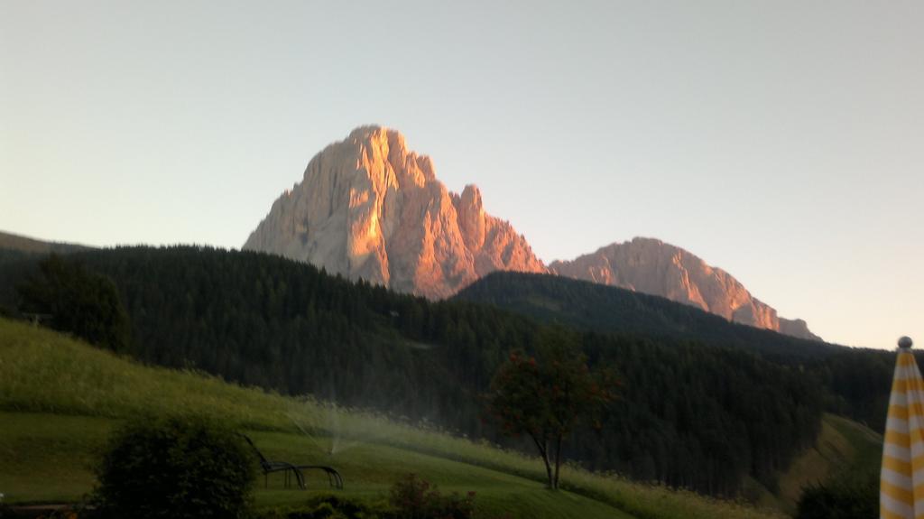 Apartments Antines Selva di Val Gardena Extérieur photo